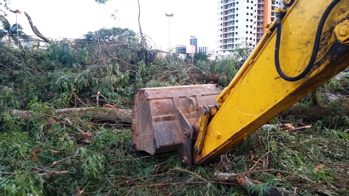 A nota oficial da prefeitura de Criciúma sobre o corte de árvores na Praça da Chaminé