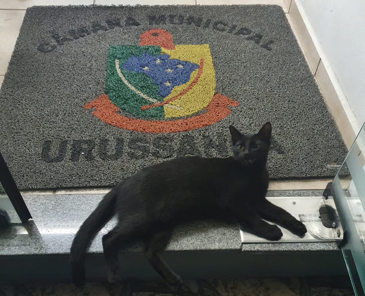 asasasasa
